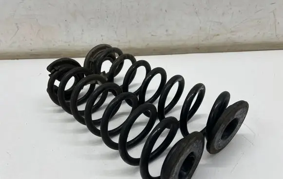 Rear coil spring