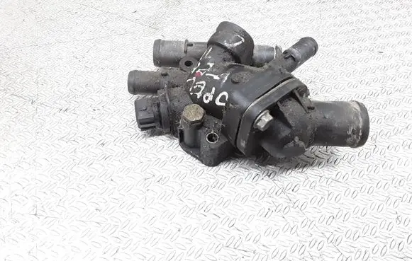 Thermostat/thermostat housing