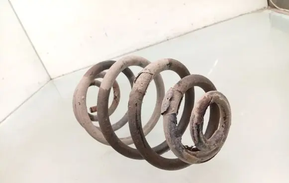 Rear coil spring