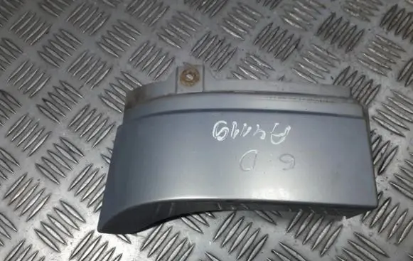 Rear/tail light trim molding