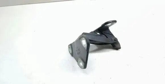 BMW X5 E70 Tailgate/trunk/boot hinge 14187910