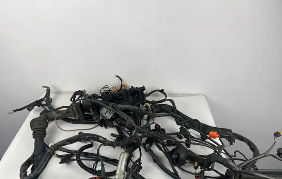Audi Q5 SQ5 Other wiring loom