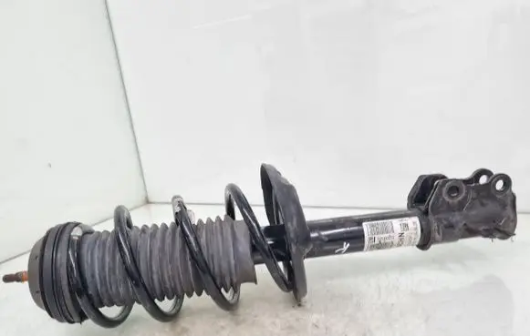 Opel Corsa E Front shock absorber with coil spring 22283524