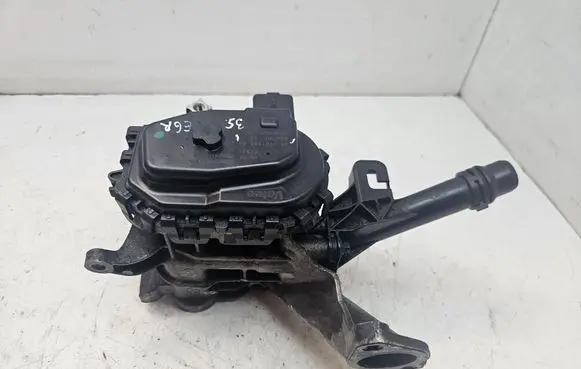 Peugeot 208 EGR valve 9807369980