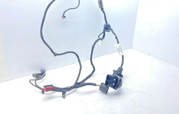 Rear door wiring loom