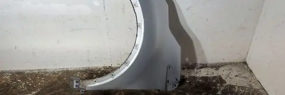 Renault Captur Fender