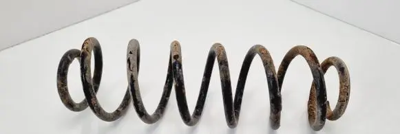 Volkswagen Jetta V Rear coil spring
