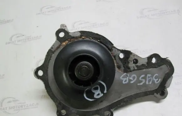 Peugeot Expert Water pump 395GB