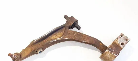 Front lower control arm/wishbone