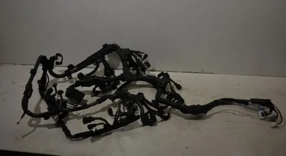 Toyota RAV 4 (XA50) Engine installation wiring loom