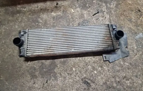Volkswagen Crafter Intercooler radiator 2E0145804