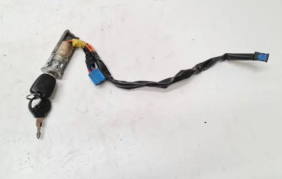 Peugeot 206 CC Ignition lock N0501539