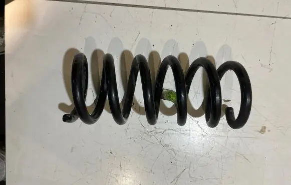 Ford Mustang VI Rear coil spring FR3C5560KC