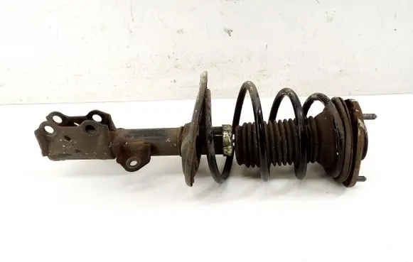 Toyota Verso Front shock absorber/damper 485100F060