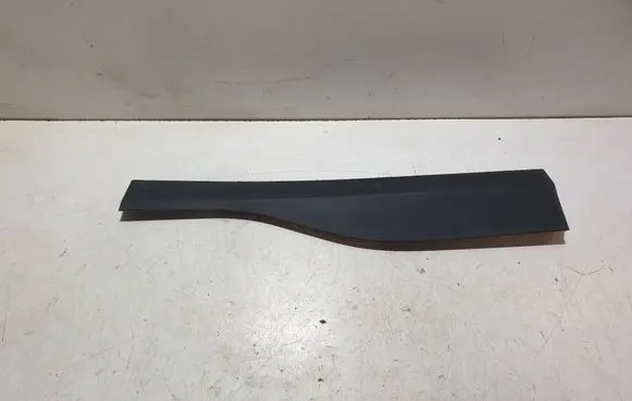 Hyundai Kona I Rear door trim (molding) 87731J9000