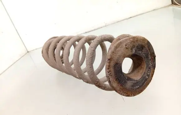 Volkswagen PASSAT B7 Rear coil spring