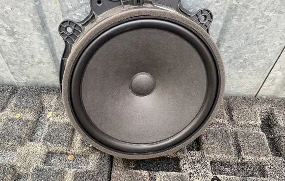 Tesla Model 3 Highland Front door speaker 107974300E 1079743