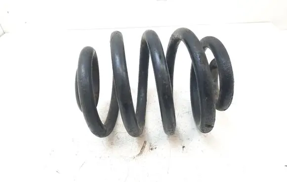 Rear coil spring
