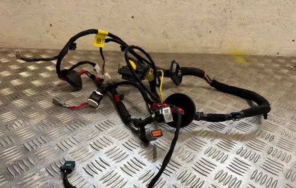 KIA EV6 Front door wiring loom 91605CV010 M830F88H KVN0239
