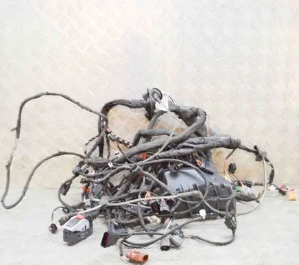 Volkswagen ID.4 Engine installation wiring loom TAB016490BB