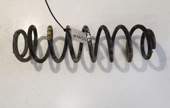Rear coil spring
