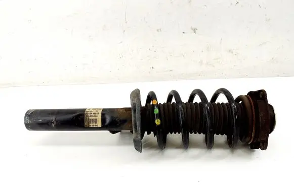 Volkswagen PASSAT B7 Front shock absorber/damper 3AA413031M