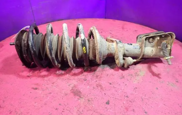 Land Rover Freelander Front shock absorber with coil spring