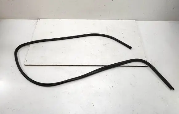 BMW X1 E84 Front door rubber seal 2990833