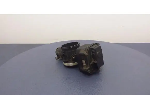Throttle body valve