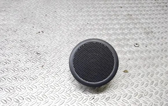 Front door high frequency speaker