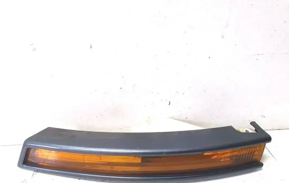Volkswagen PASSAT B6 Front indicator light