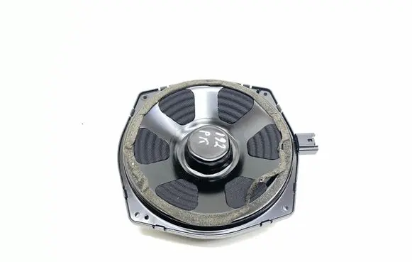 Front door speaker
