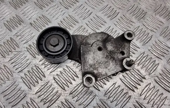 Ford Transit - Tourneo Connect Generator/alternator belt tensioner 846143