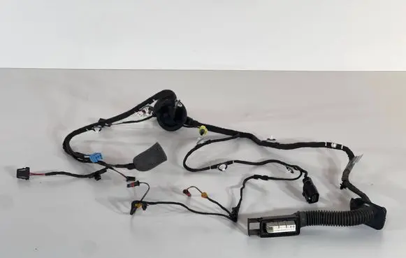 BMW 7 F01 F02 F03 F04 Rear door wiring loom 25102010 8W8971029AE TAB010403CN