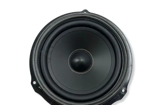 Land Rover Evoque I Front door speaker BJ3218808CC