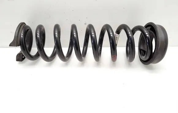 Rear coil spring