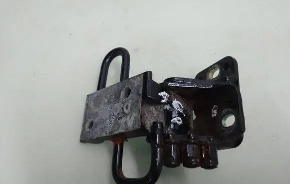 Rear door lower hinge