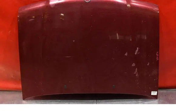 Engine bonnet/hood