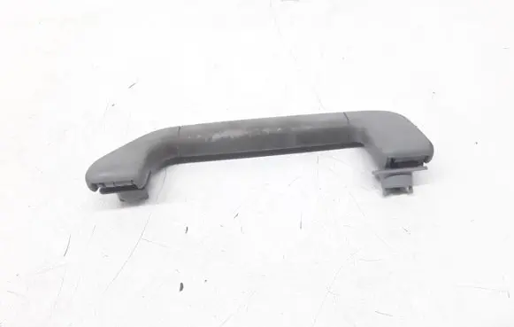 Front interior roof grab handle