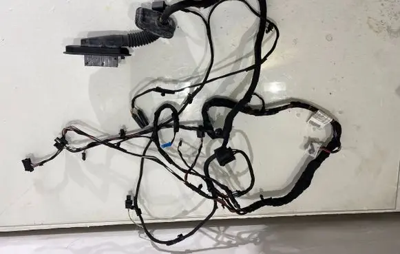 BMW 6 F12 F13 Front door wiring loom 4020524 9237242 9351220
