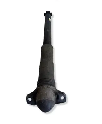 Volkswagen PASSAT B8 Rear shock absorber/damper 19253428
