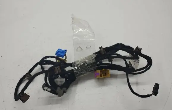 Bentley Flying Spur Rear door wiring loom 3W5974951B