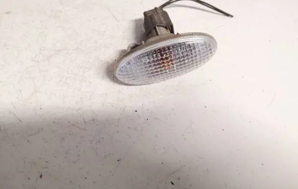 Front fender indicator light