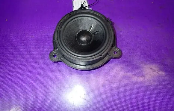 Renault Fluence Front door speaker