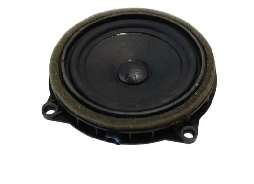 Front door high frequency speaker