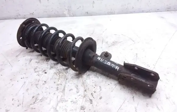Opel Antara Front shock absorber with coil spring