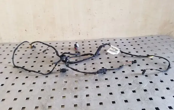 Rear door wiring loom