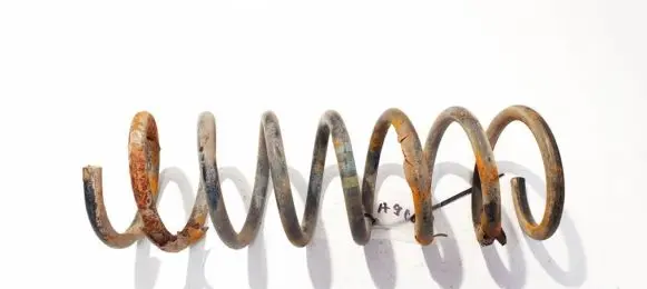 Ford Focus C-MAX Rear coil spring