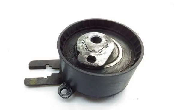 Ford Fiesta Timing belt/chain tensioner 012858404