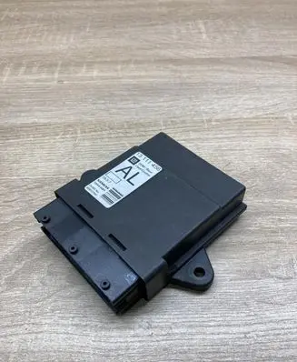 Opel Vectra C Door control unit/module 13111456 5WK46001